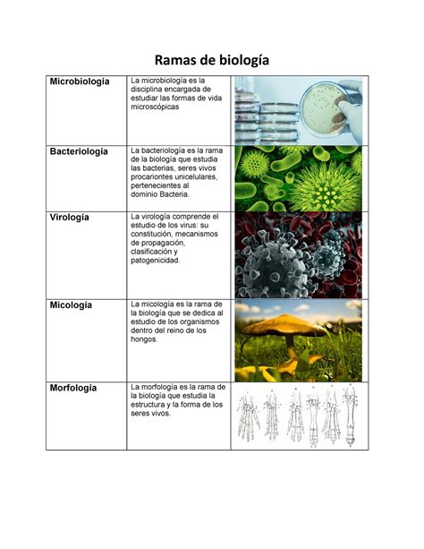 Ramas de biología cuadro comparativo con imagenes Ramas de biología