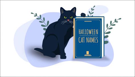 150 Most Popular Halloween Themed Cat Names In 2024 - Cats.com