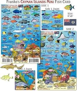 Amazon Franko Maps Mini Cayman Islands Reef Creatures Fish ID For