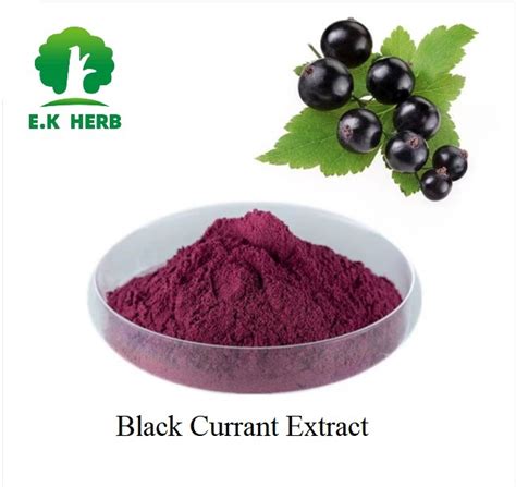 E K Herb Manufacturing And Supplying High Quality Black Currant