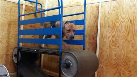 Беговая дорожка сделать самому своими руками в домашних условиях