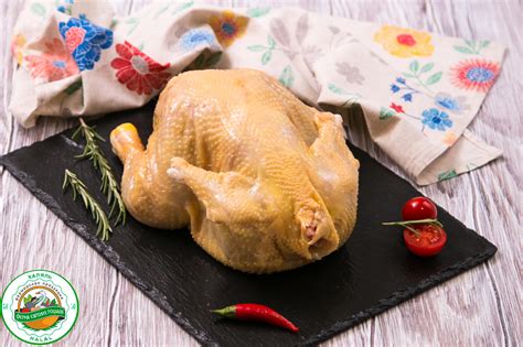Халяль мясо птицы (утка, гусь, индейка, курица)