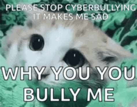 Bully Cat GIF - Bully Cat Meme - Discover & Share GIFs