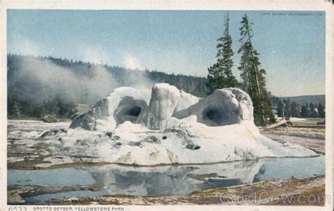 Grotto Geyser Yellowstone National Park Wy Postcard