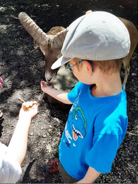 Ausflug In Den Tierpark Poing S Mauganest Mittenwald