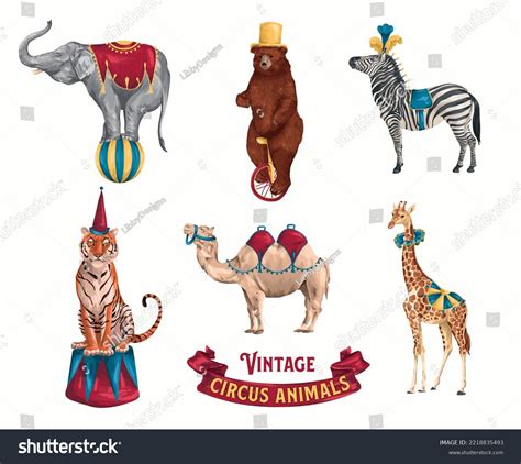 Collection Vintage Circus Animals Hand Drawn Stock Illustration ...