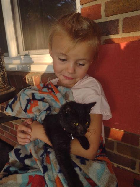 Cats for Adoption in Cape May, New Jersey | Alpha Paw