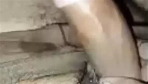 Hot Sexy Boudi Gay Porn Creator Videos Free Amateur Nudes XHamster