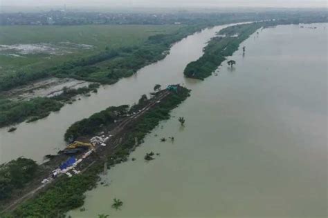 Banjir Demak Kementerian Pupr Ri Perbaikan Tanggul Sungai Wulan