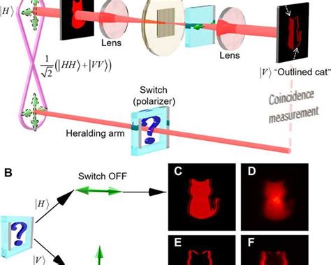 Metasurface Enabled Quantum Edge Detection Statnano