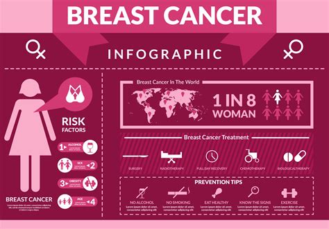 Breast Cancer Infographic Vector Art, Icons, and Graphics for Free Download