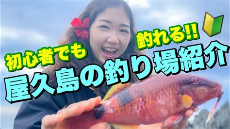 【屋久島釣り】離島のポテンシャルが高すぎる釣り場探索🐟竿を一瞬で引き込む大物の正体とは！ Youtube