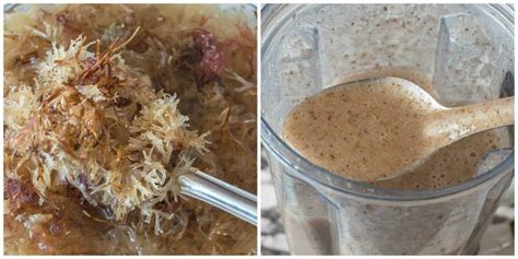 Sea Moss Drink (Irish Moss Drink) | Recipe | Sweet spice, Irish moss ...