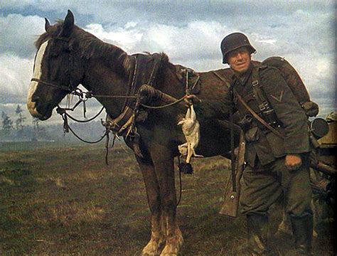 World War Ii In Color German Soldier With His Horse And Plucked Chicken