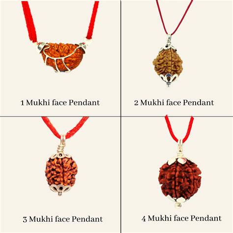 Original Certified Nepal Rudraksha Mukhi To Mukhi Rudraksha