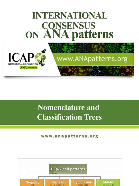 International Consensus On Ana Patterns Pdf