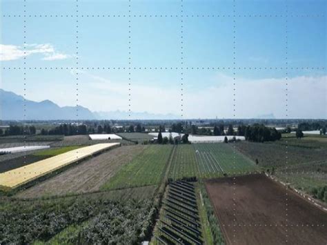 Terreno Agricolo Via Mediana Per Cisterna Cisterna Di Latina Rif