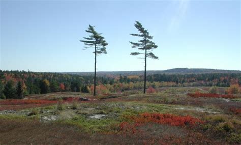 Free Images Man Landscape Tree Nature Outdoor Wilderness Hiking