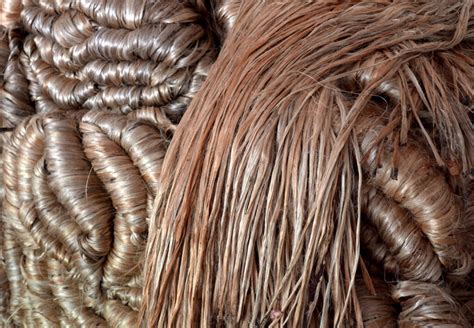 Jute The Golden Fibre Of Bengal And An Empire Monopoly