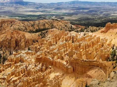 Green Trees Near Rock Formation · Free Stock Photo