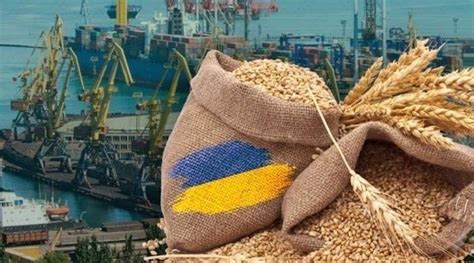 Poland Slovakia Hungary Defy Eu And Extend Ban On Ukrainian Grain