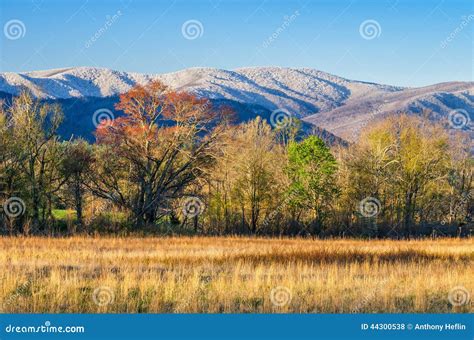 Spring Snow Cades Cove Great Smoky Mountains Stock Photo Image Of