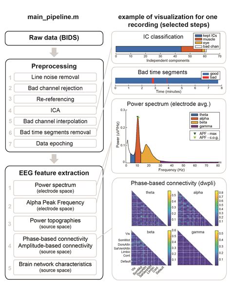 Github Crisglav Discover Eeg A Pipeline To Automatically Preprocess