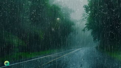 Chuva Relaxante Na Estrada Enevoada Para Dormir Bem Som Maravilhoso