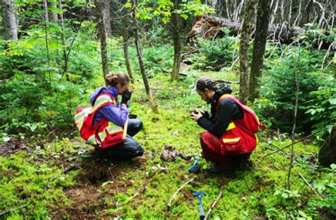 Great Atlantic Begins Exploration Program At Its Owned