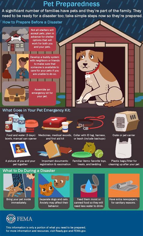 Keep Your Pets Safe In An Emergency 5 Things To Know Blogs Cdc