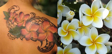 Yellow Plumeria Tattoo