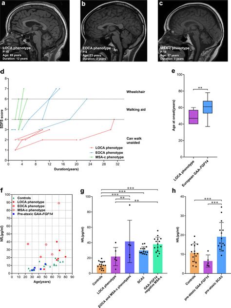 Clinical Assessments Of Patients With Loca Eoca And Msa C Phenotypes