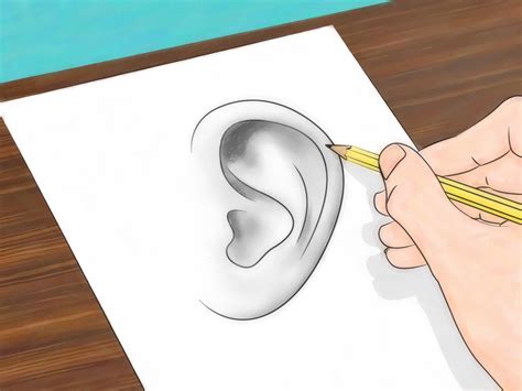 How To Draw Ears Steps With Pictures Wikihow