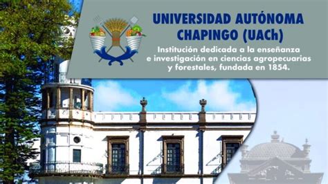 Registro Convocatoria Universidad Autónoma De Chapingo 2023 Aquí Lo