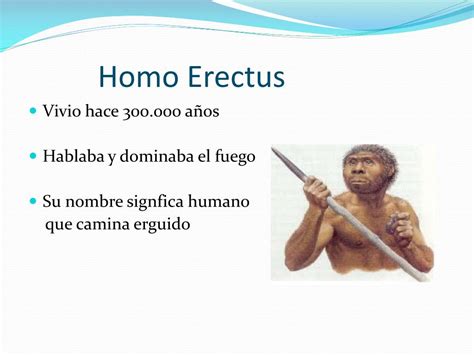 Ppt La Evolución Del Hombre Powerpoint Presentation Free Download Id2766438