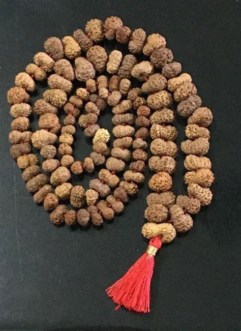 Round Mukhi Indonesian Rudraksha Mala At Rs In Varanasi Id