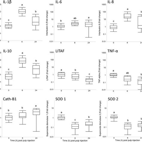 Quantile Box Plots Of Relative Gene Expression In Pulp Tissue At 0 6