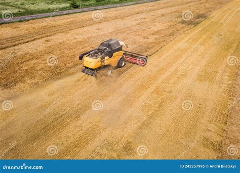 Aerial View Of Combine Harvester Harvesting Large Ripe Wheat Field