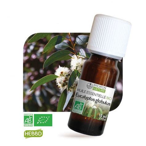 Eucalyptus Globulus BIO Huile Essentielle Herboristerie Du Docteur Sammut