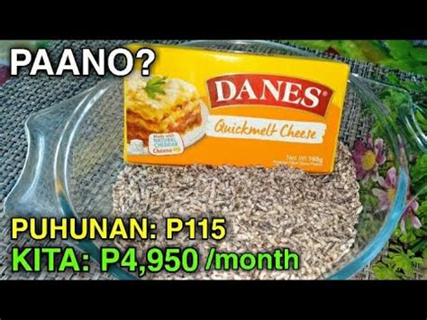 GAWIN MO ITO SA MALAGKIT NA BIGAS AT CHEESE PATOK PANGNEGOSYO 2021