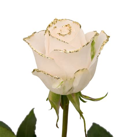 White Roses With Gold Glitter Premium Wholesale Flowers Free