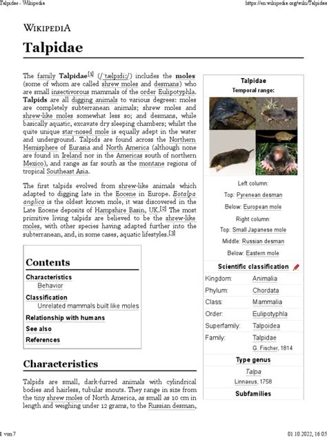 Talpidae | PDF