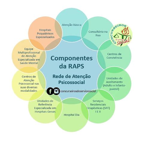 Concurseiros De Servi O Social Componentes Da Rede De Aten O Psicossocial