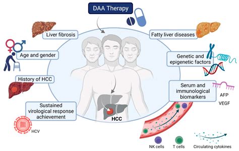 Livers Free Full Text Predictive Factors For Hepatocellular