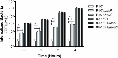 Strain Dependent Role Of The Capsular Polysaccharide In S Suis