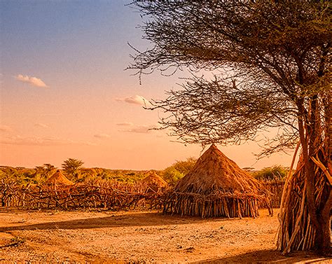 Кофейное путешествие: Африка - Черная карта