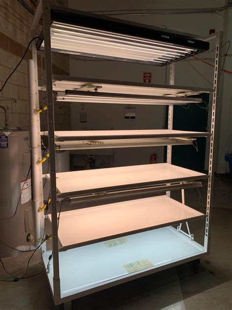 Metal Rolling 5 Shelf Horticulture Grow Shelving System With Led Grow Lights A D Auction Depot