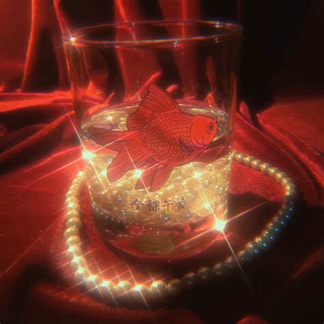 Naked Lunch 全裸午餐 on Twitter 일요일 2일 당발입니다 네이키드런치 전라오찬