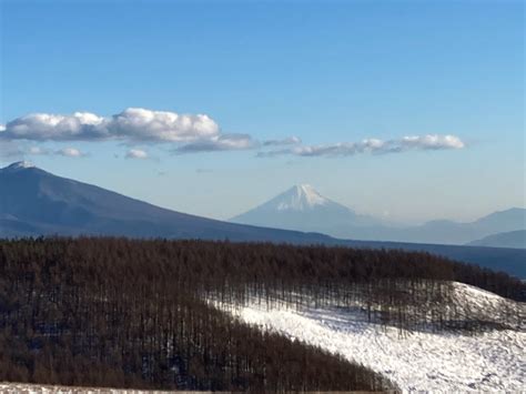 霧ヶ峰 富士山 ビーナスライン 浅間山 くろは前向き