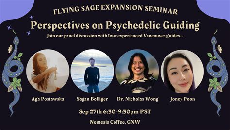 Expansion Seminar Perspectives On Psychedelic Guiding — The Flying Sage